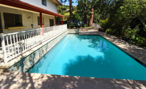 Pool - Backyard