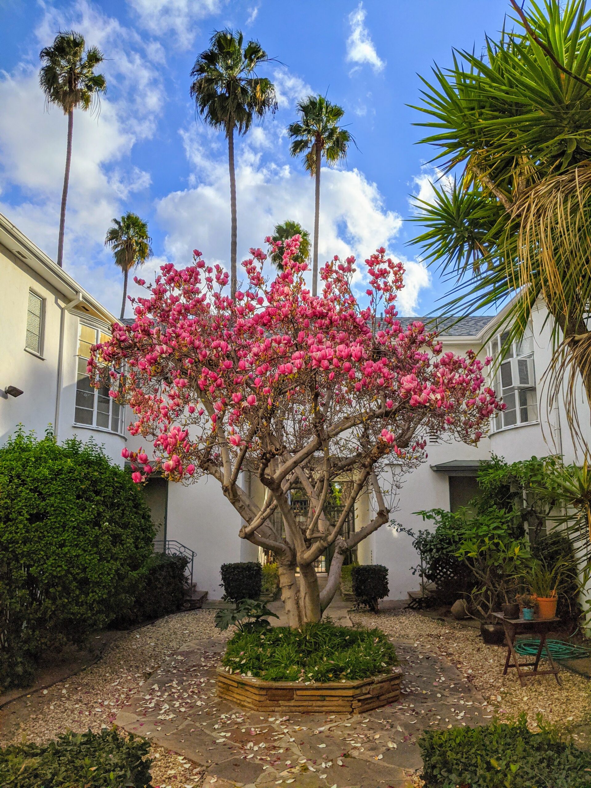 Courtney Manor garden