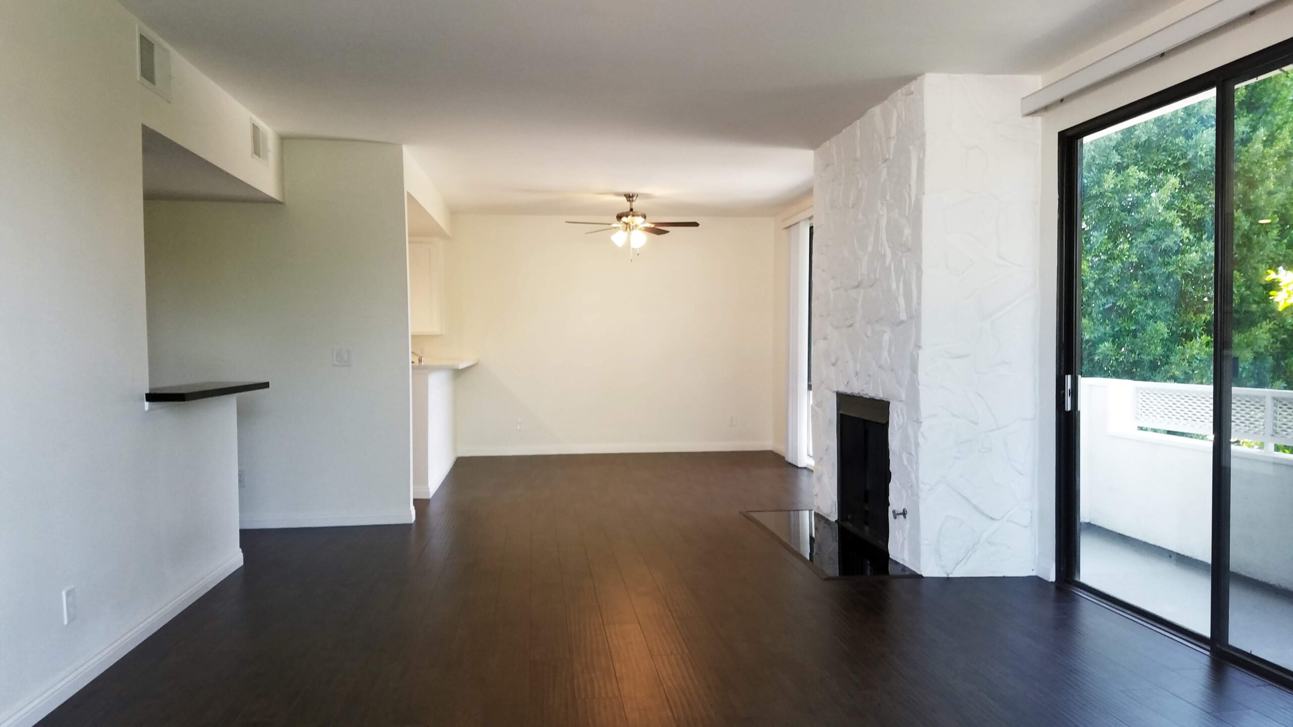 Dining / Living Area